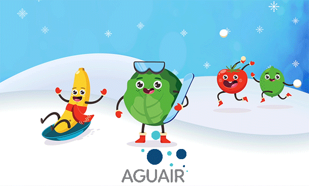 Aguair wishes you a fantastic holiday season!