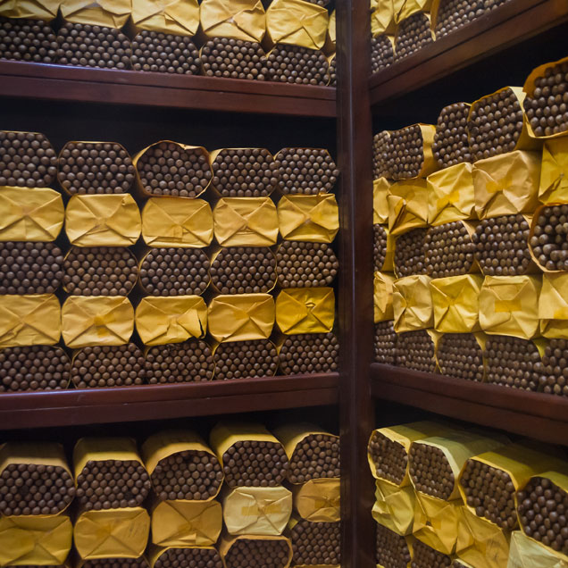 cigar storage