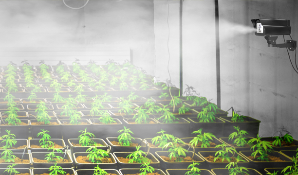 Aguatronics™ for growrooms