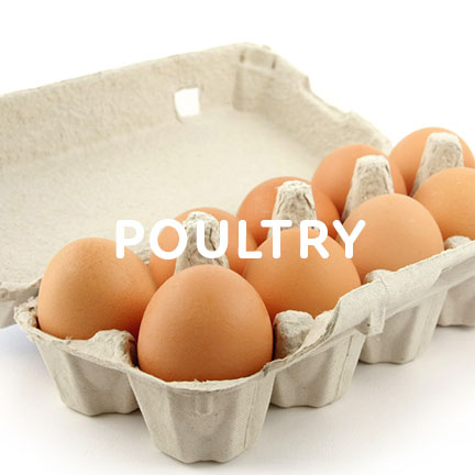 poultry
