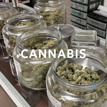 cannabis