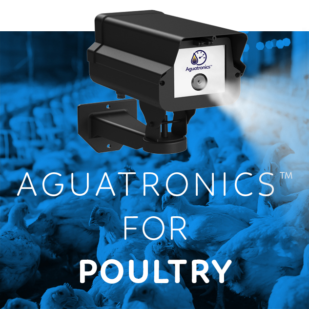 Aguatronics™ for chicks