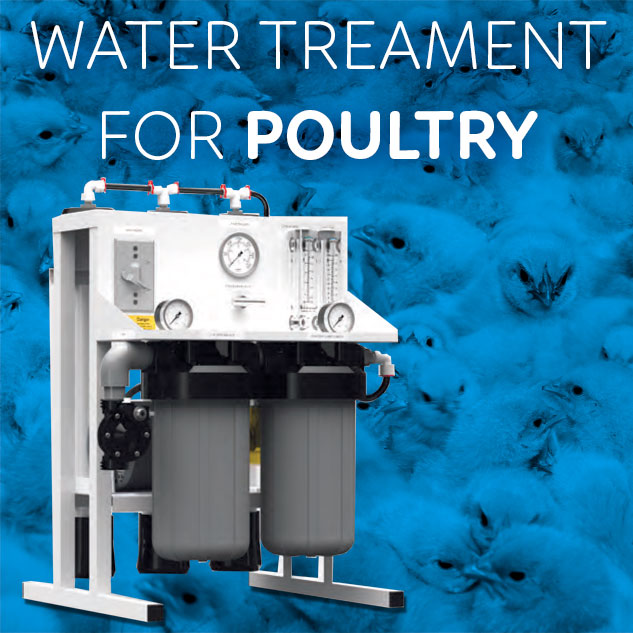 Water Treatment for chicks